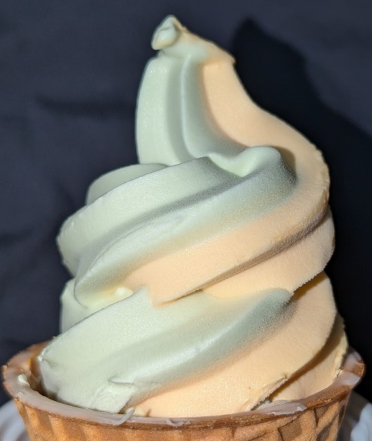 f:id:tukkoman:20240627113231j:image f:id:tukkoman:20240627113231j:image