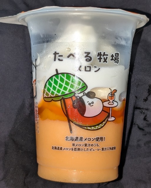 f:id:tukkoman:20240726080011j:image
