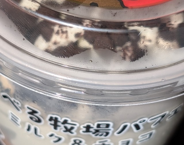 f:id:tukkoman:20240731130049j:image