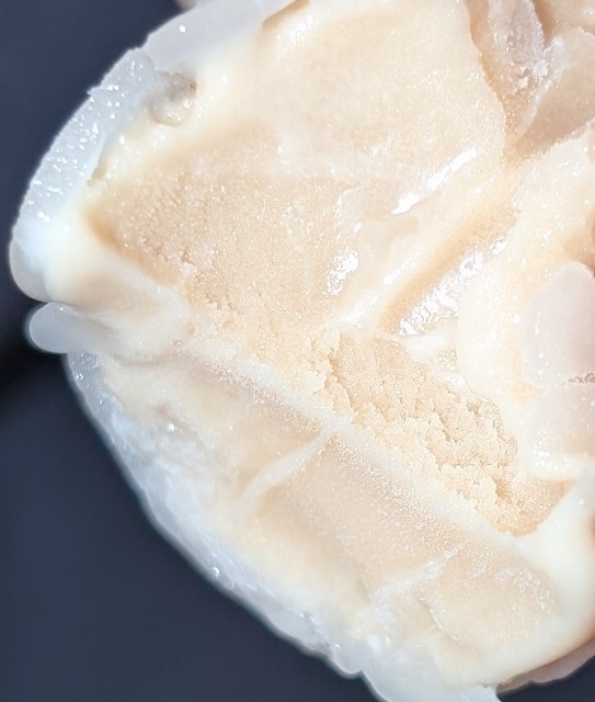 f:id:tukkoman:20240731223601j:image