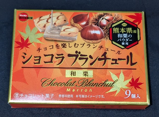 f:id:tukkoman:20240810201120j:image