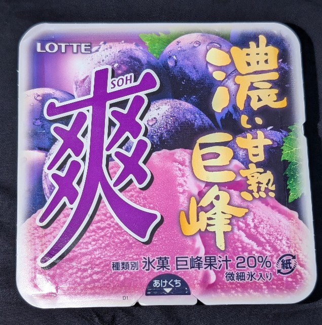 f:id:tukkoman:20240821135059j:image