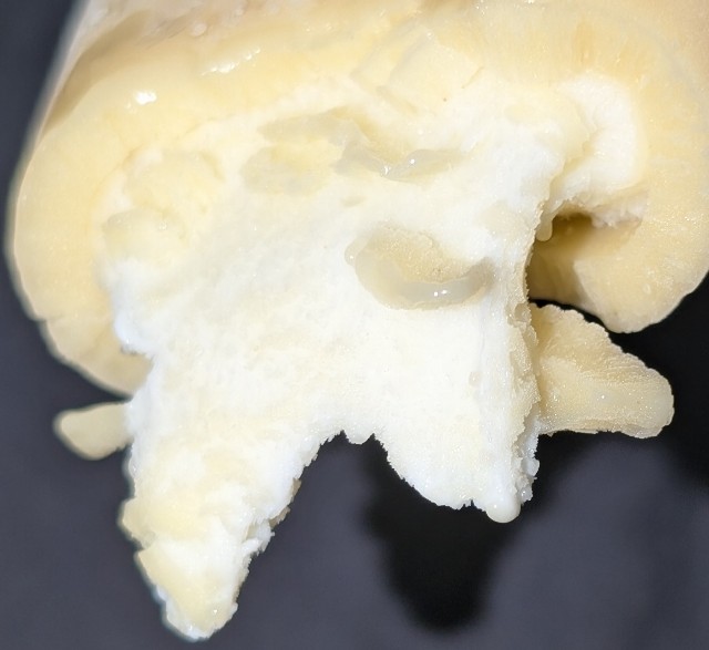 f:id:tukkoman:20240825192258j:image f:id:tukkoman:20240825192258j:image