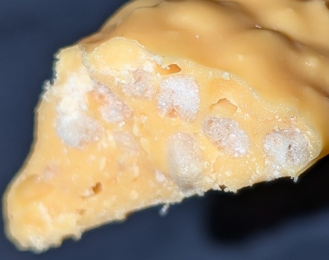 f:id:tukkoman:20240910205040j:image