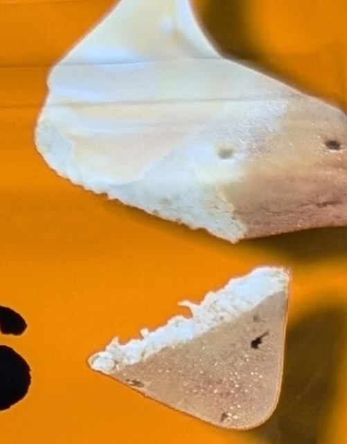 f:id:tukkoman:20240918212930j:image