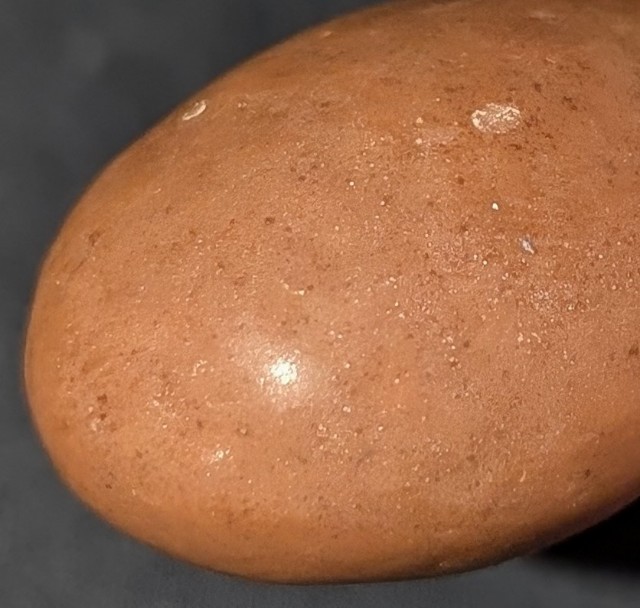 f:id:tukkoman:20240919184242j:image f:id:tukkoman:20240919184242j:image