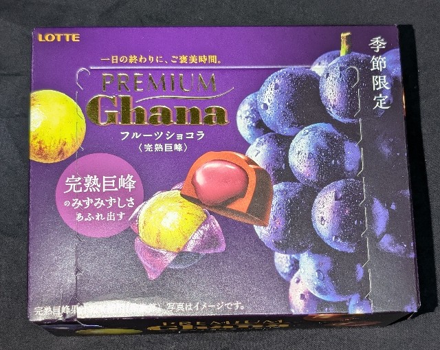 f:id:tukkoman:20241015225531j:image