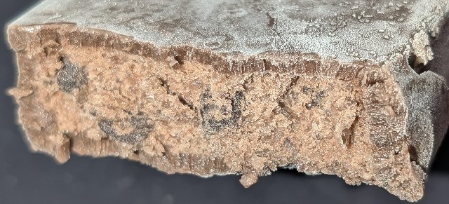 f:id:tukkoman:20241017111756j:image f:id:tukkoman:20241017111756j:image