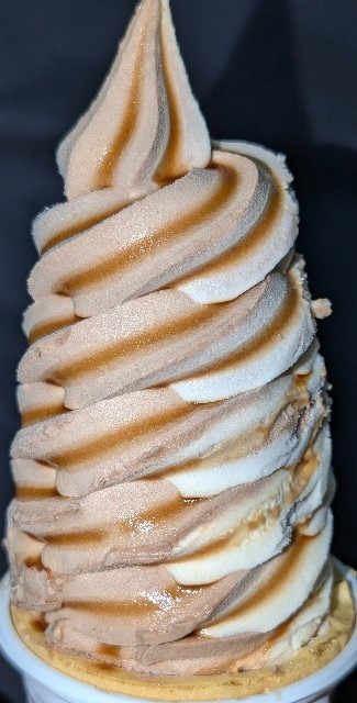 f:id:tukkoman:20241107213121j:image