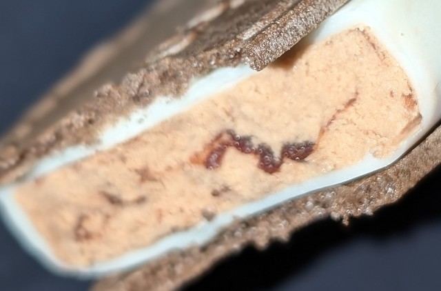 f:id:tukkoman:20241107230516j:image