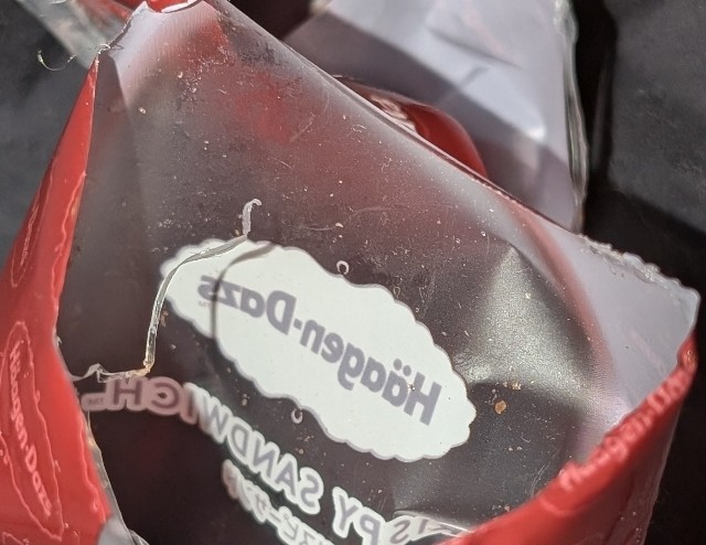 f:id:tukkoman:20241111223921j:image