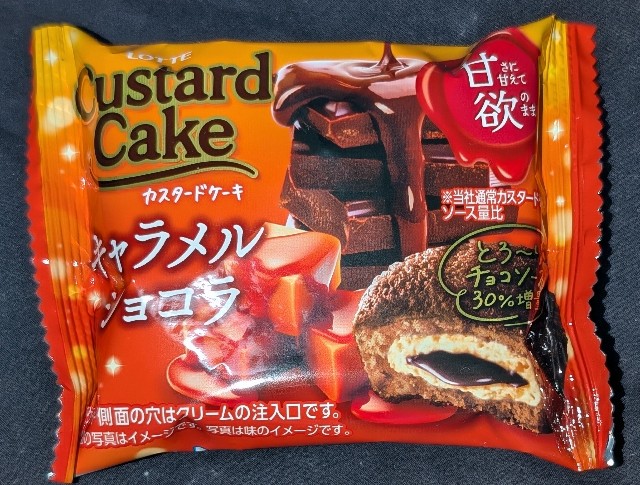 f:id:tukkoman:20241126161400j:image