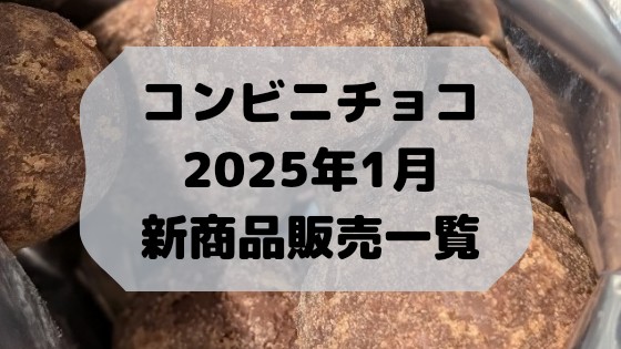f:id:tukkoman:20250107135155j:image