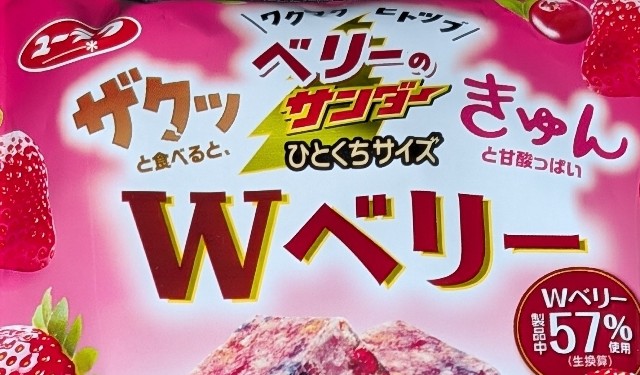 f:id:tukkoman:20250114142439j:image