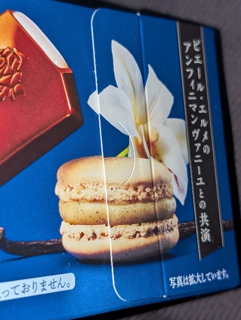 プレミアムガーナ 生チョコレート アンフィニマン ヴァニーユ