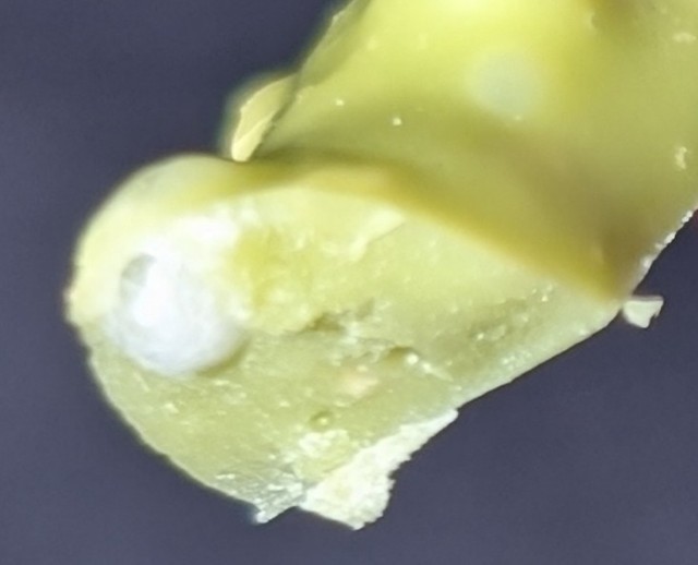 f:id:tukkoman:20250129001955j:image