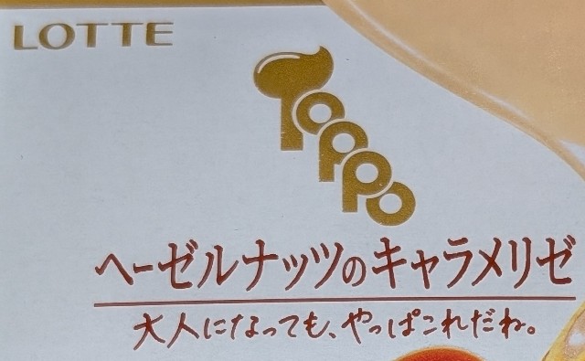 f:id:tukkoman:20250218201841j:image