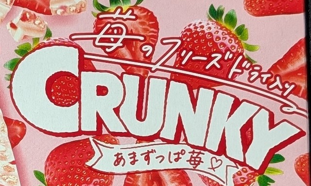 f:id:tukkoman:20250513193610j:image