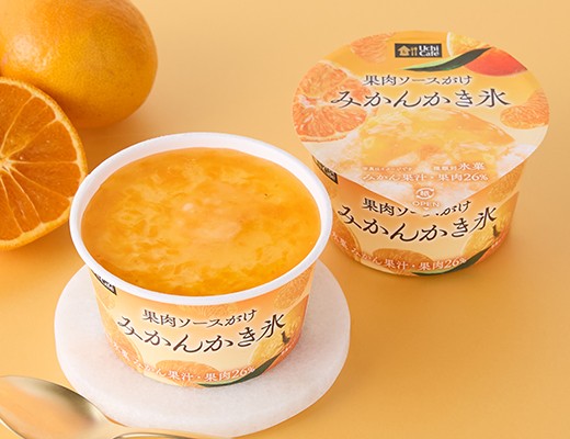 f:id:tukkoman:20250526201136j:image