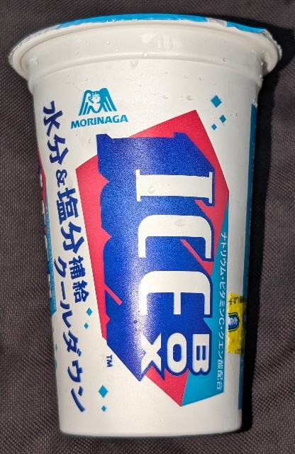 f:id:tukkoman:20250703113523j:image