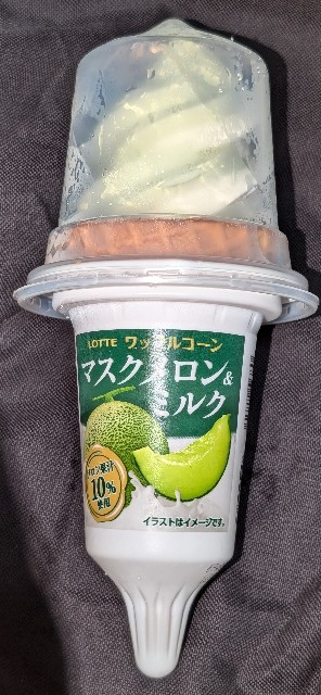 f:id:tukkoman:20250703113827j:image