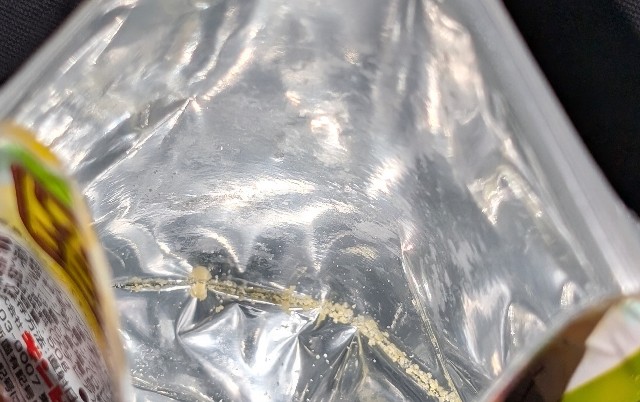 f:id:tukkoman:20250805222425j:image