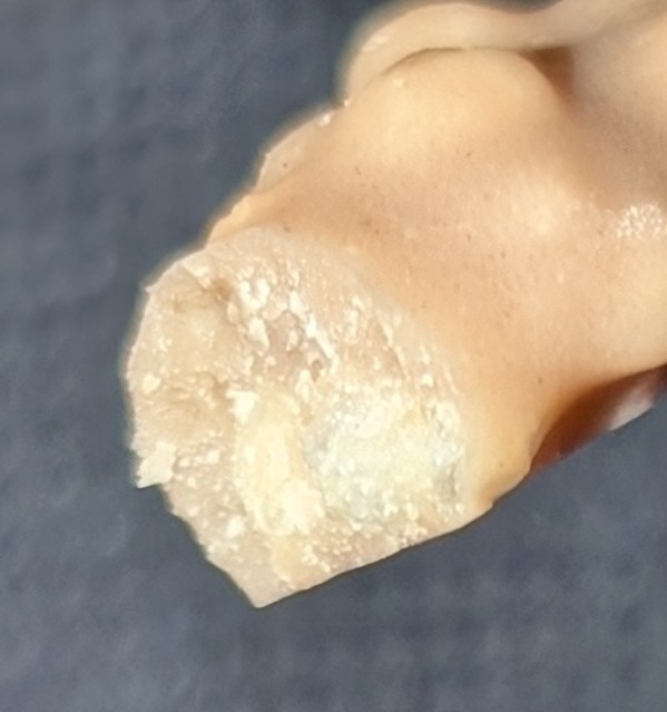 f:id:tukkoman:20250827190638j:image