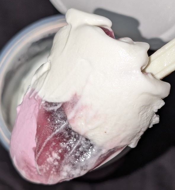 f:id:tukkoman:20250921174240j:image