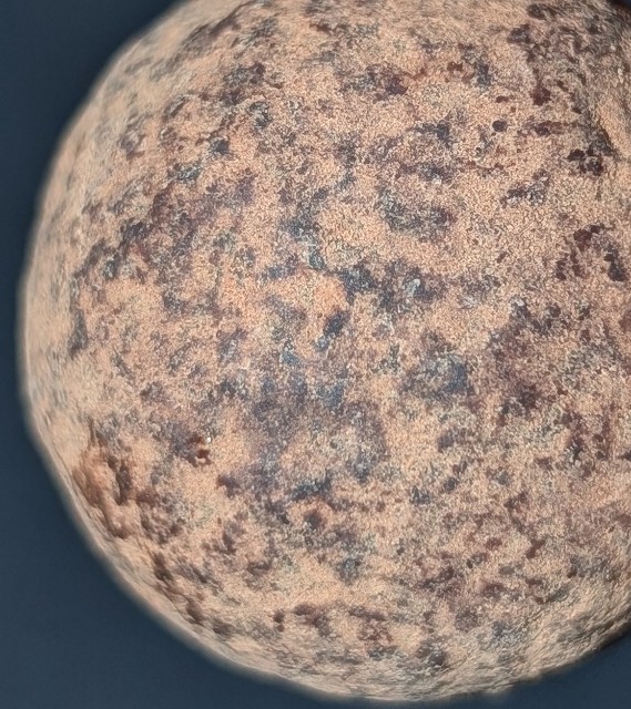 f:id:tukkoman:20251004201717j:image