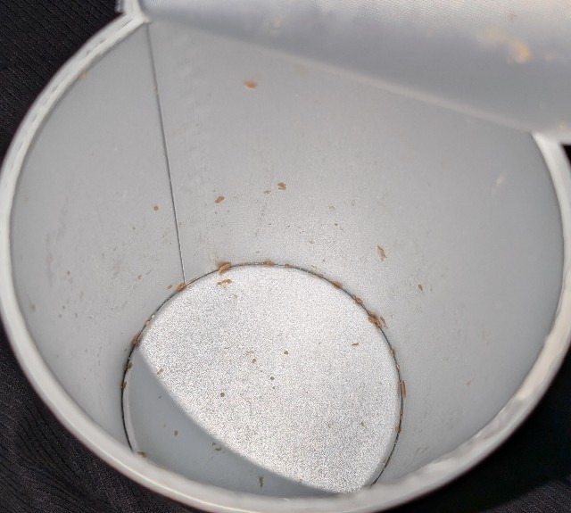 f:id:tukkoman:20251006194145j:image