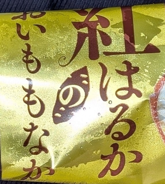 f:id:tukkoman:20251014184548j:image