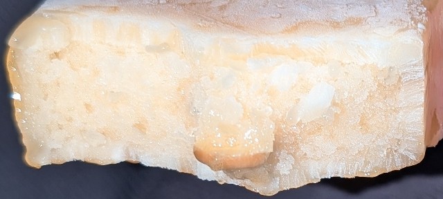 f:id:tukkoman:20251019233214j:image f:id:tukkoman:20251019233214j:image