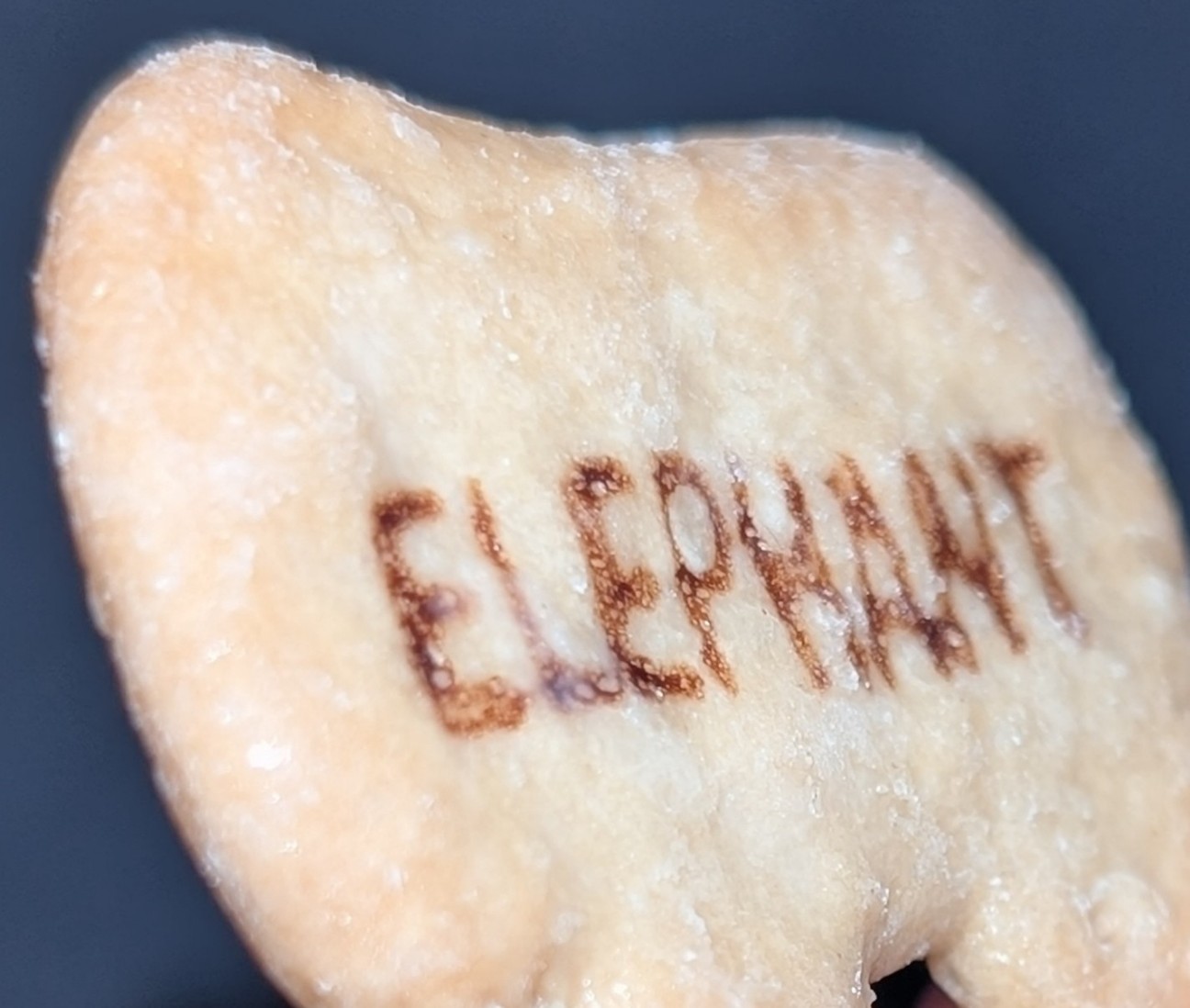 f:id:tukkoman:20251220084202j:image