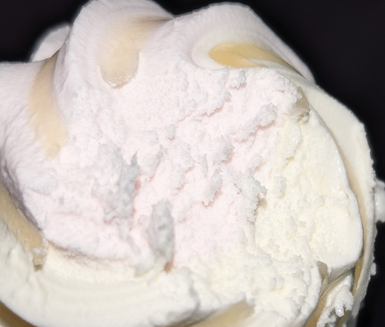 f:id:tukkoman:20260204215311j:image f:id:tukkoman:20260204215311j:image