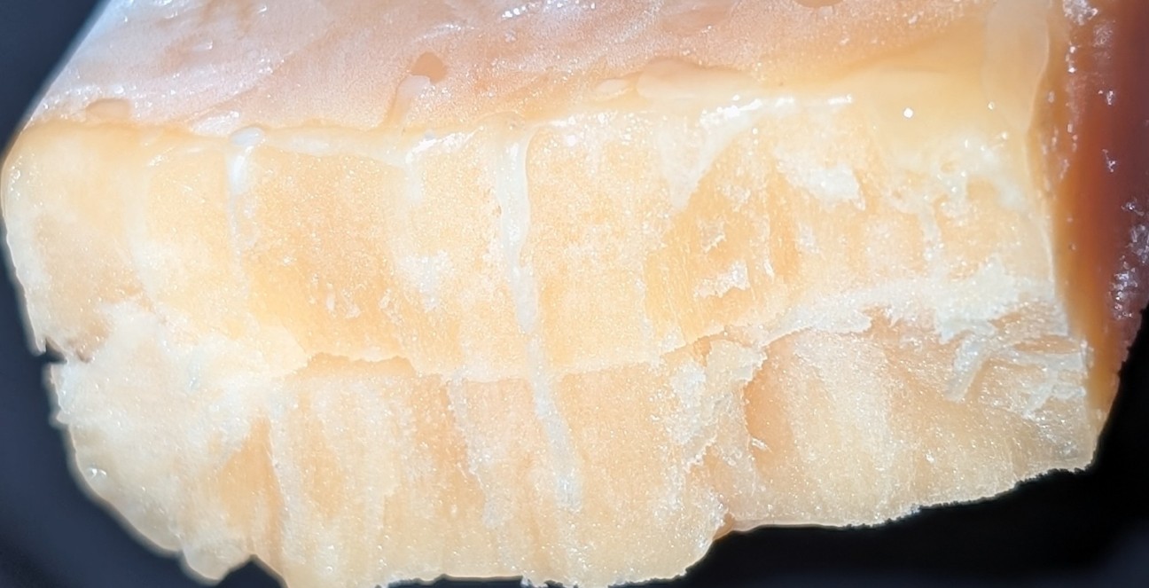 f:id:tukkoman:20260211182122j:image f:id:tukkoman:20260211182122j:image