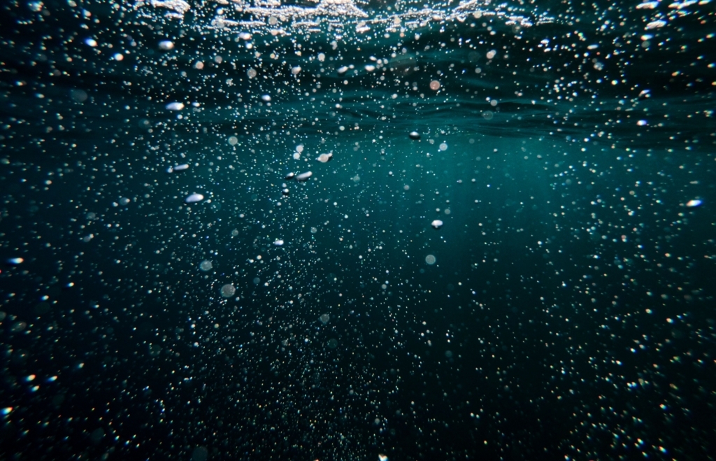 f:id:tukumosanzou:20180826223315j:plain f:id:tukumosanzou:20180826223315j:plain