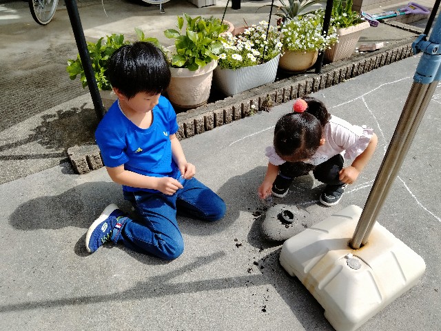 f:id:tukushi70:20260430102840j:image f:id:tukushi70:20260430102840j:image
