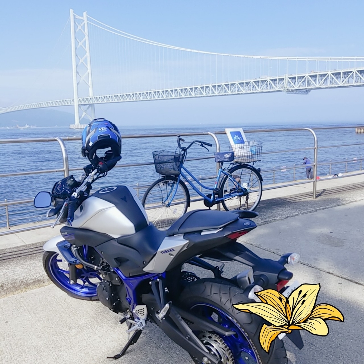 f:id:tukusingo:20200730230547j:plain f:id:tukusingo:20200730230547j:plain