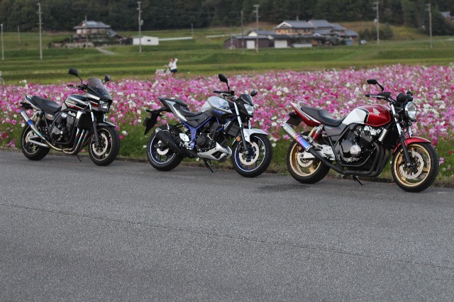f:id:tukusingo:20201018214922j:image f:id:tukusingo:20201018214922j:image