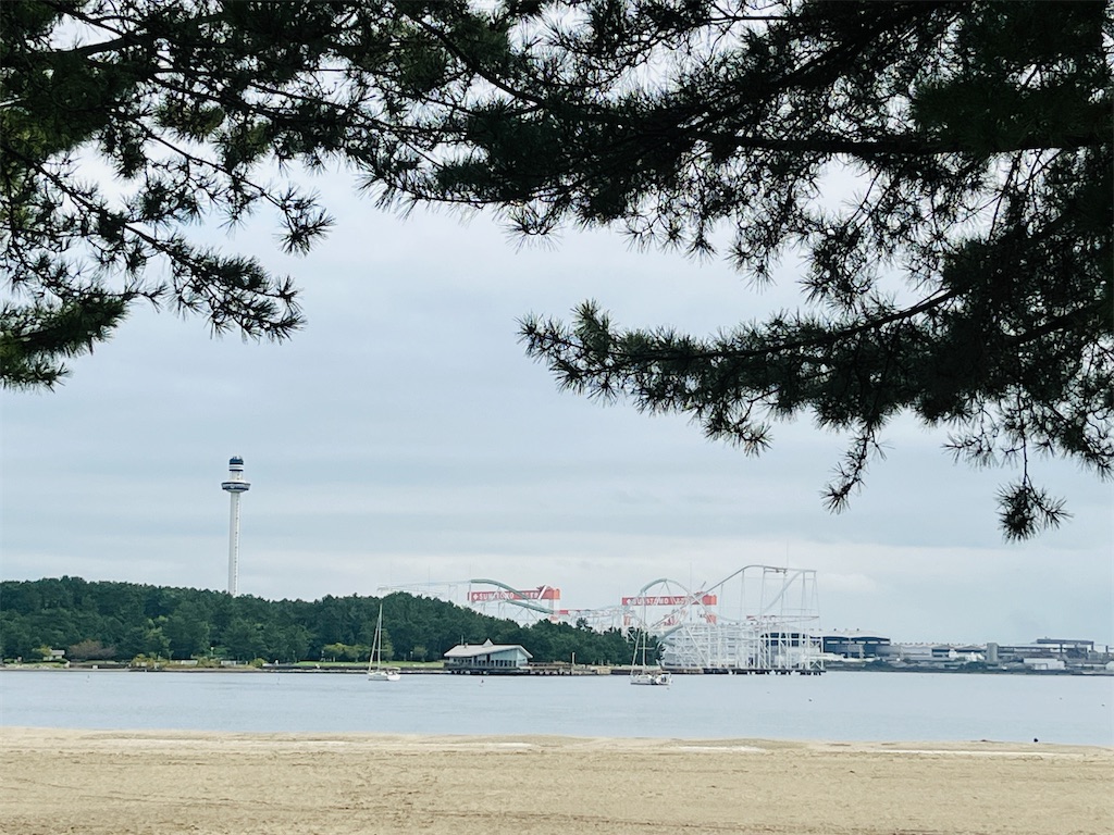 f:id:tulip-sky:20251012170830j:image