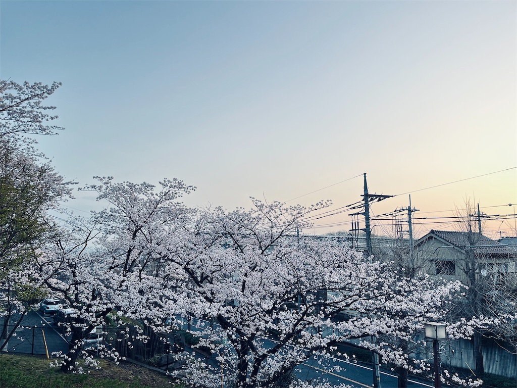 f:id:tulip-terao:20220409102119j:image f:id:tulip-terao:20220409102119j:image