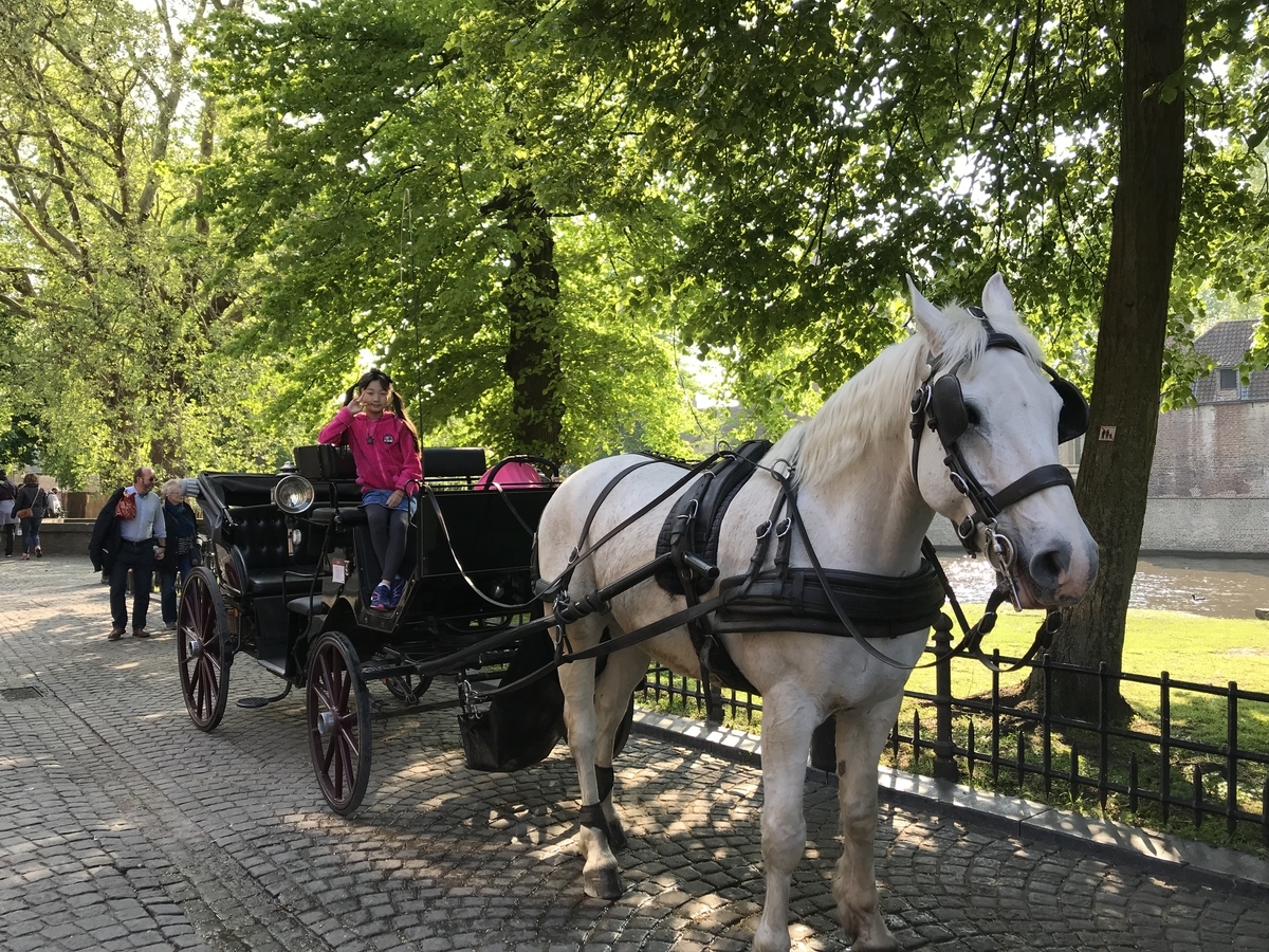 f:id:tulip_51:20190504193012j:plain