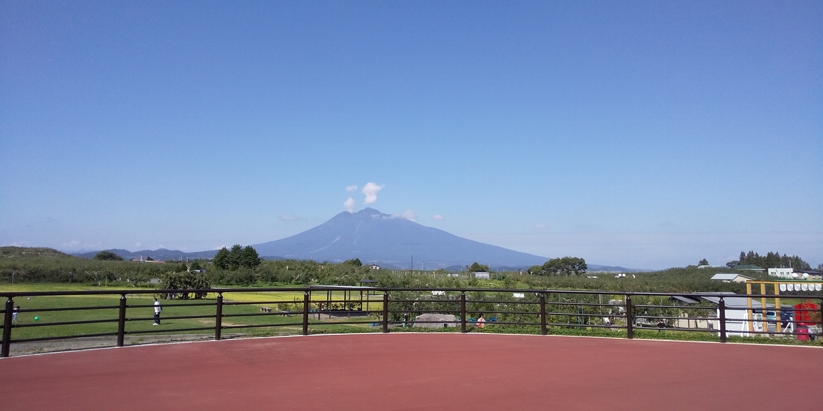 f:id:tulip_tarou:20200212211115j:plain