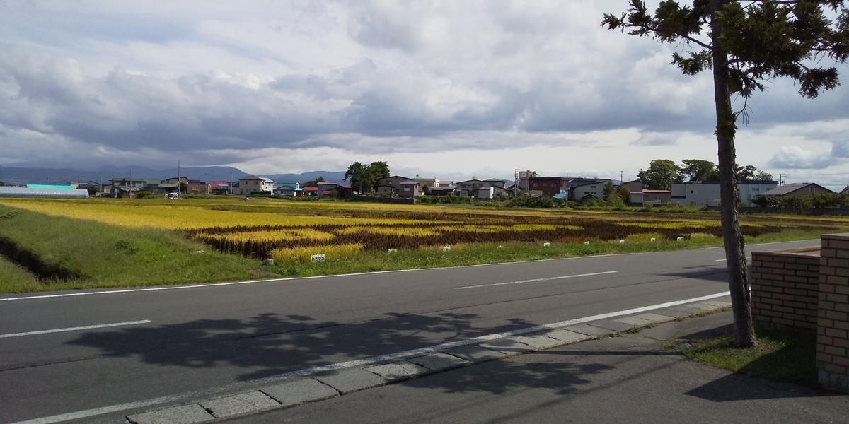 f:id:tulip_tarou:20200212212846j:plain