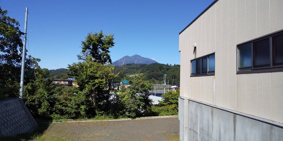 f:id:tulip_tarou:20200212220638j:plain