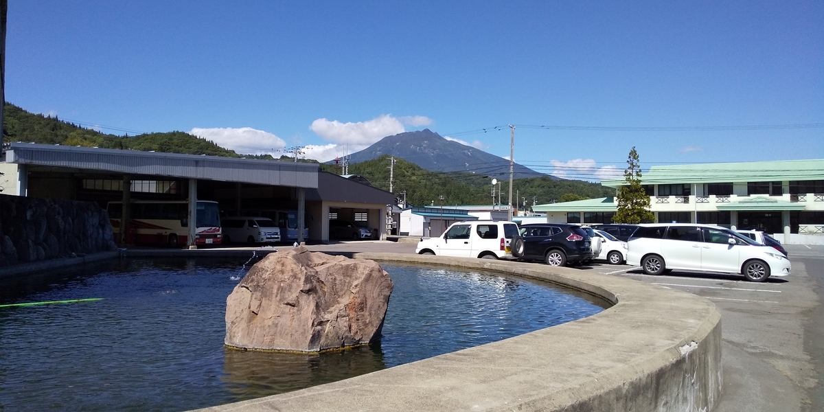 f:id:tulip_tarou:20200212222305j:plain