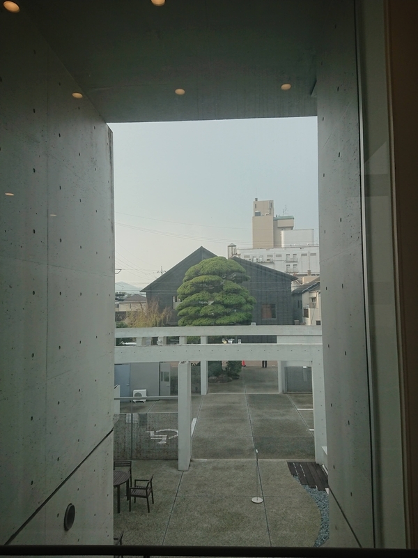 f:id:tulipchan:20211219231758j:plain