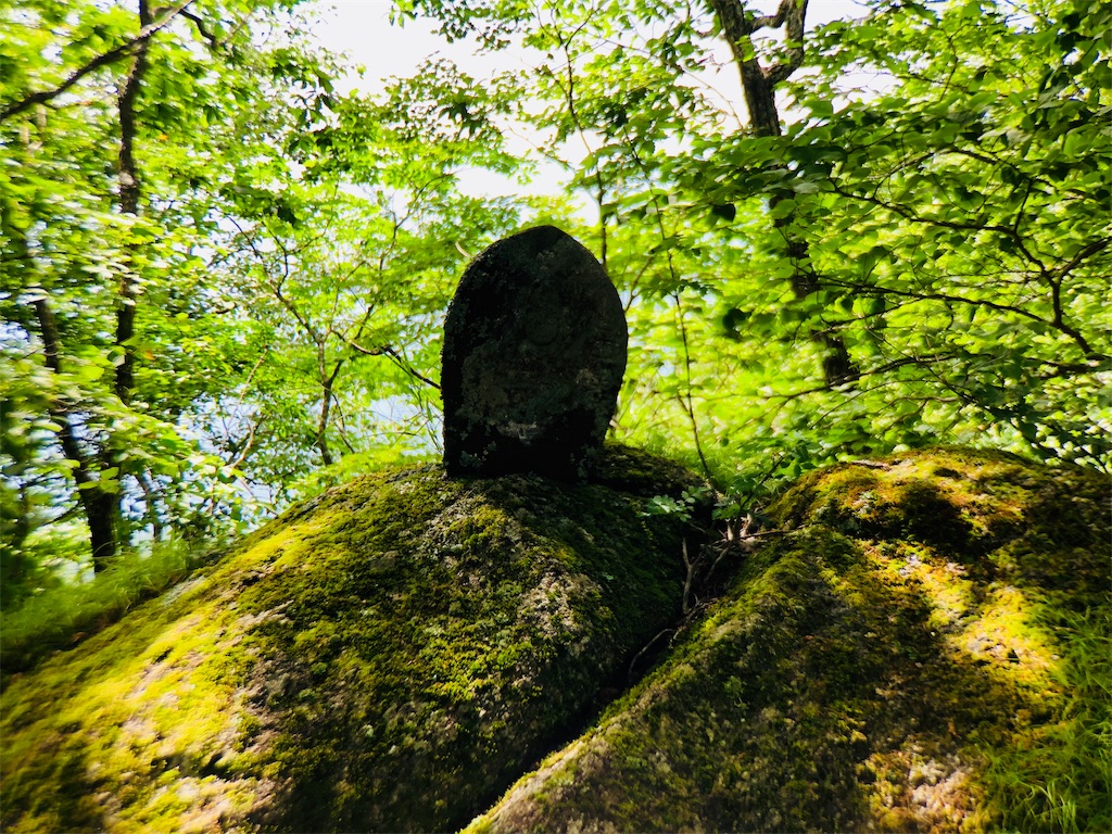 f:id:tullysuzuki:20181028135841j:image