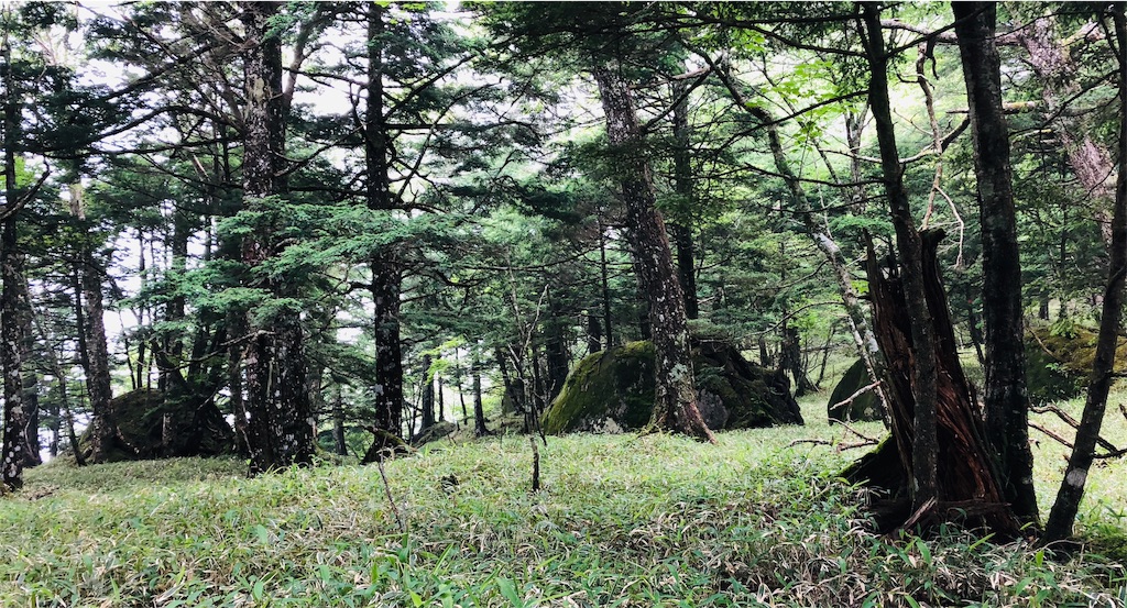 f:id:tullysuzuki:20181028141426j:image
