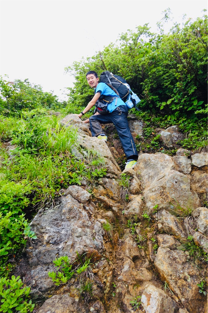 f:id:tullysuzuki:20190717201720j:image f:id:tullysuzuki:20190717201720j:image